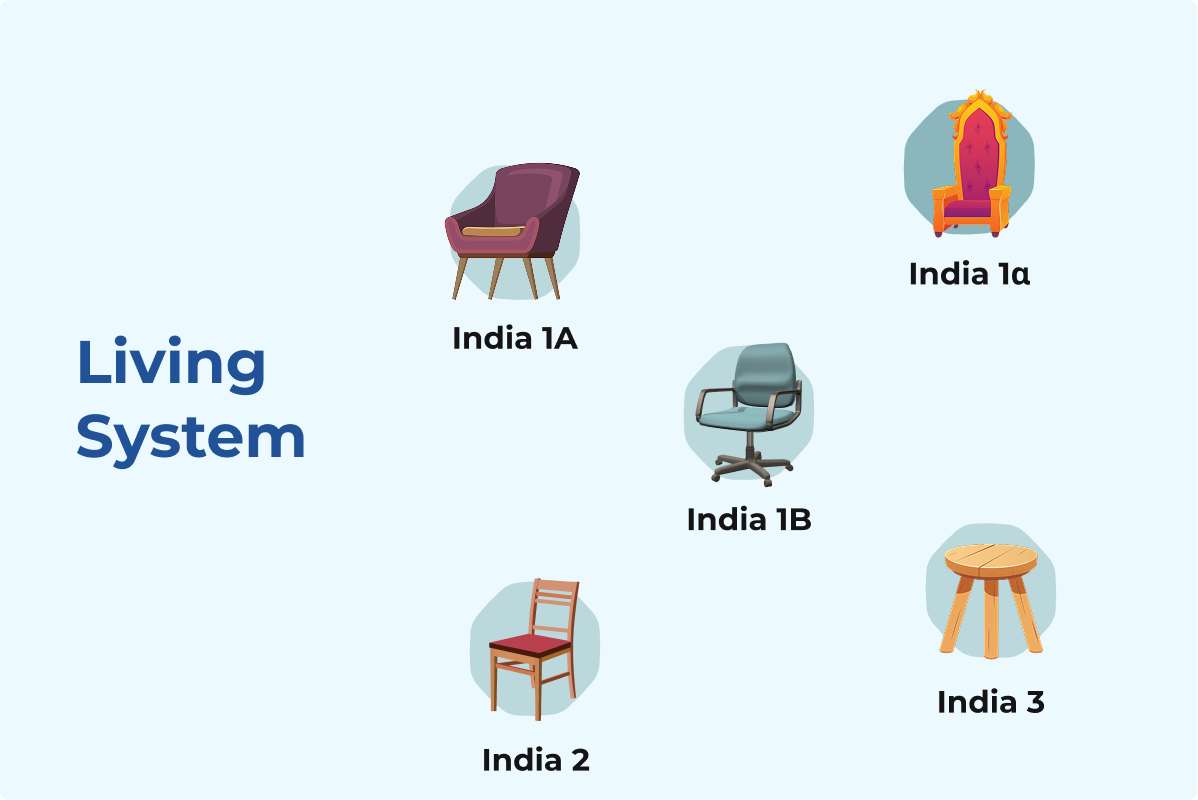 Living System — evolving framework